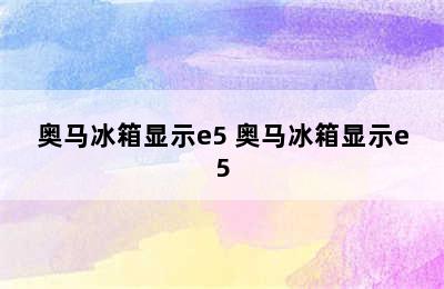 奥马冰箱显示e5 奥马冰箱显示e5